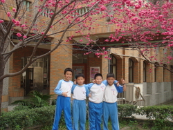 DSC01534