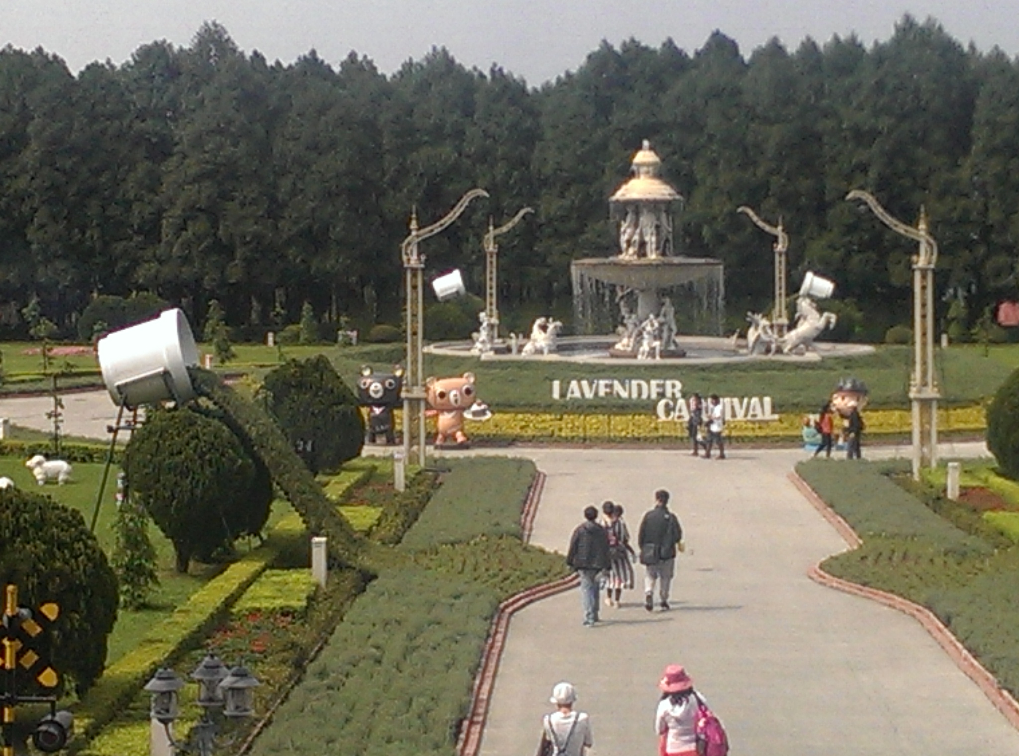 IMAG6047