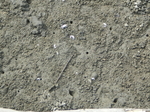 IMGP0015