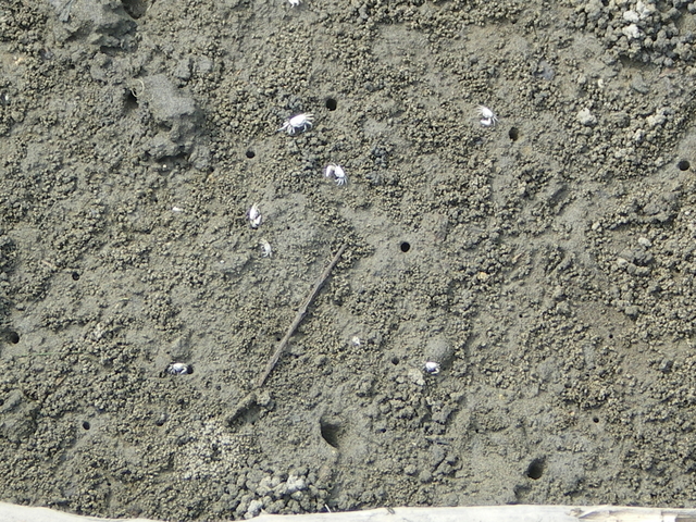 IMGP0015