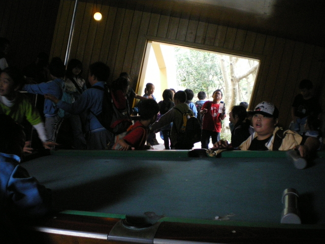 IMGP0106 (2)