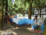 DSC03552