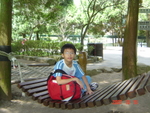 DSC03553