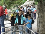 DSC00550