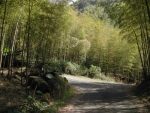 DSCN3574