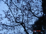 1073470401