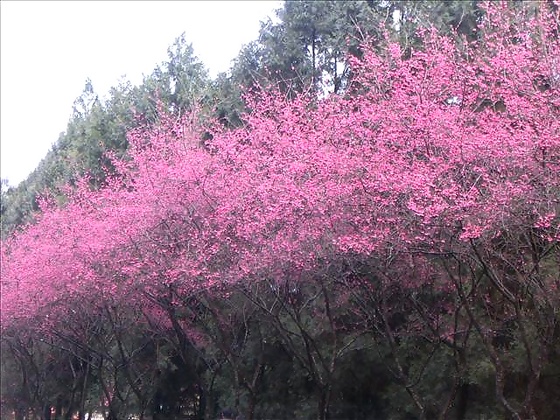 p120394240792