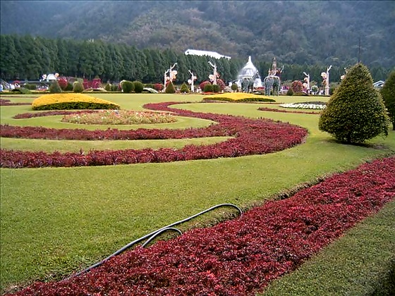 p120394296755