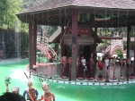 DSCN6183