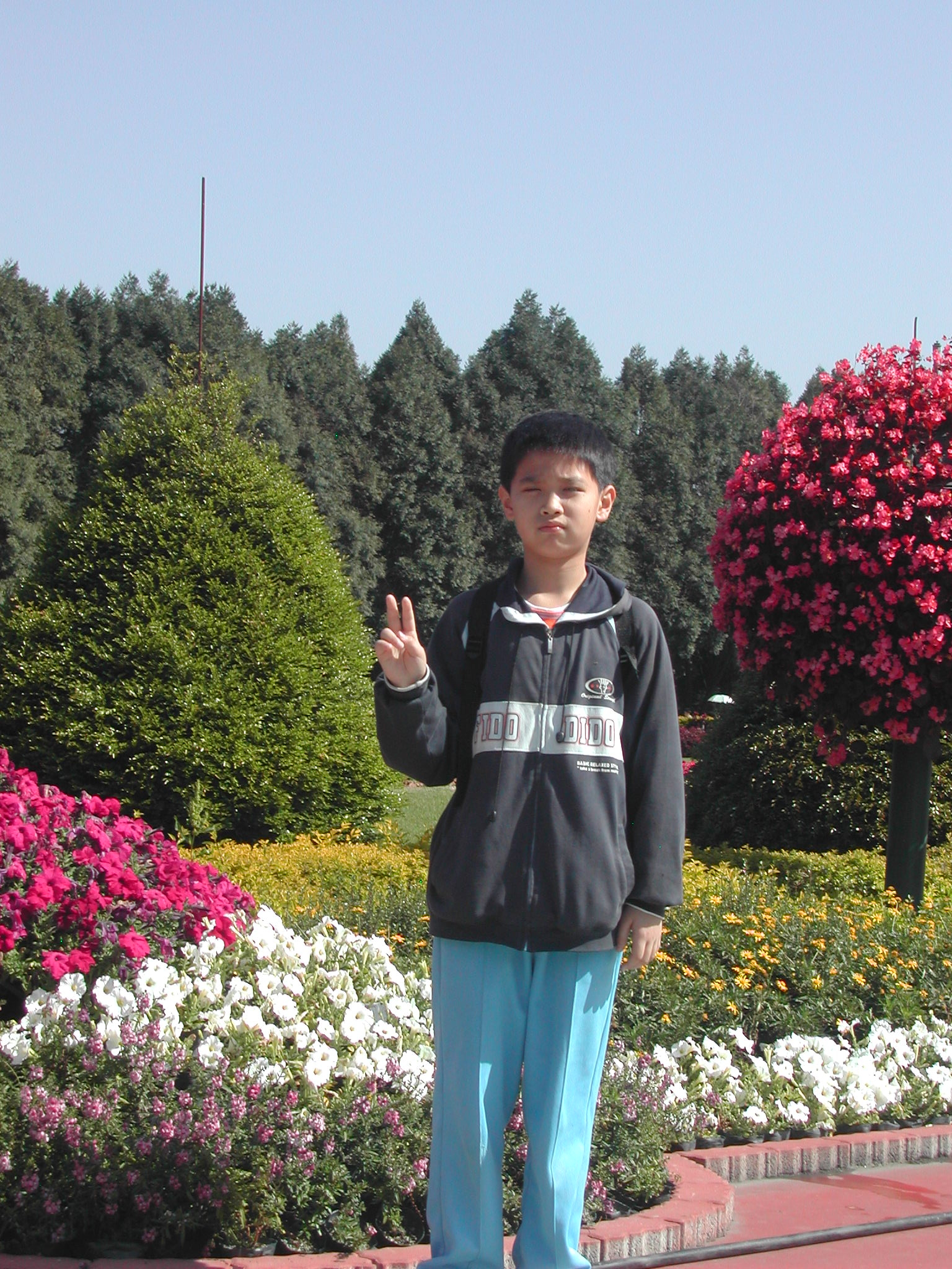 DSCN6169