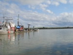 DSC03216