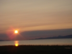 DSC03350