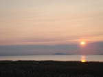 DSC03351