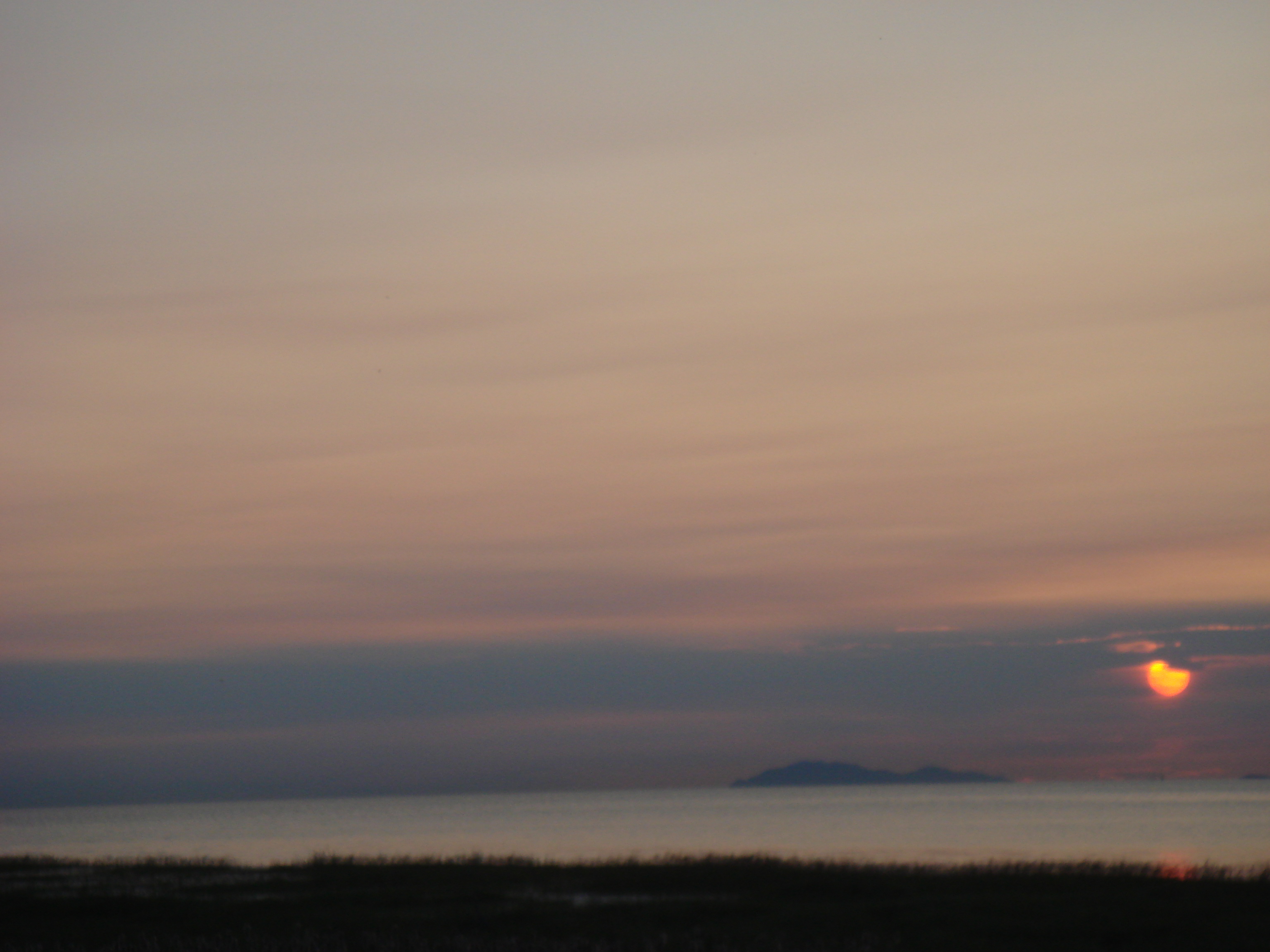 DSC03361