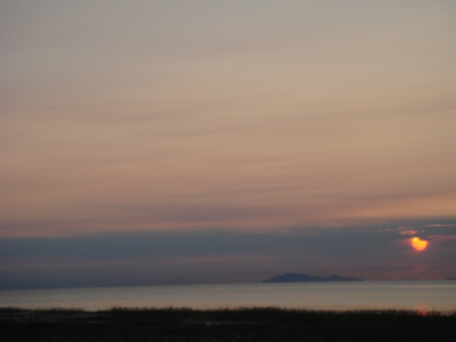 DSC03361