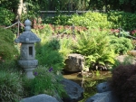 DSC03384