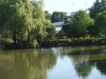 DSC03408