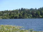 DSC03521