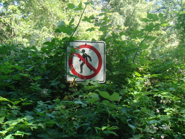 DSC03528