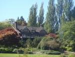 DSC03555