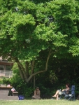 DSC03722