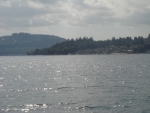 DSC03739