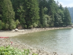 DSC03756