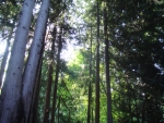 DSC03867