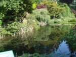 DSC03891