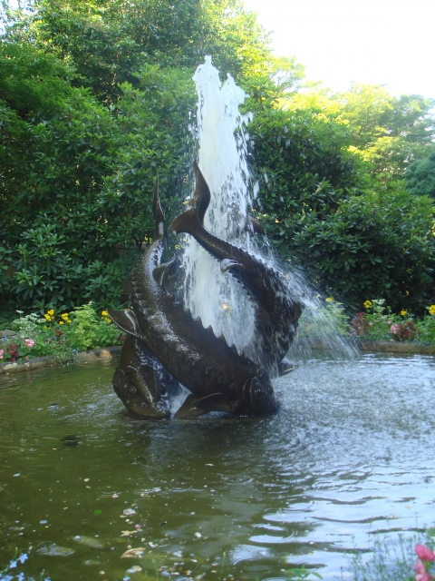 DSC03947