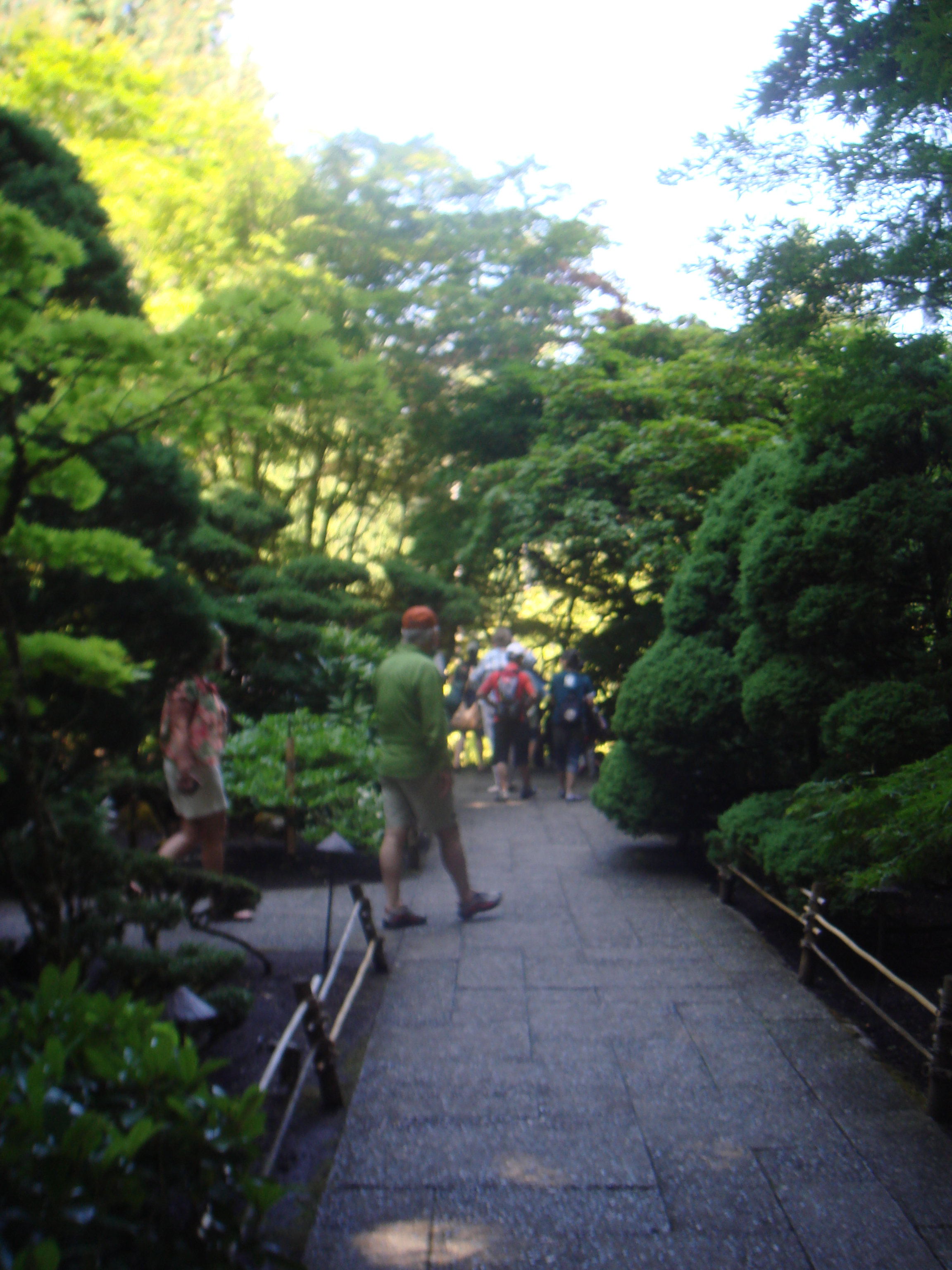 DSC03950