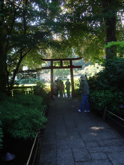 DSC03951