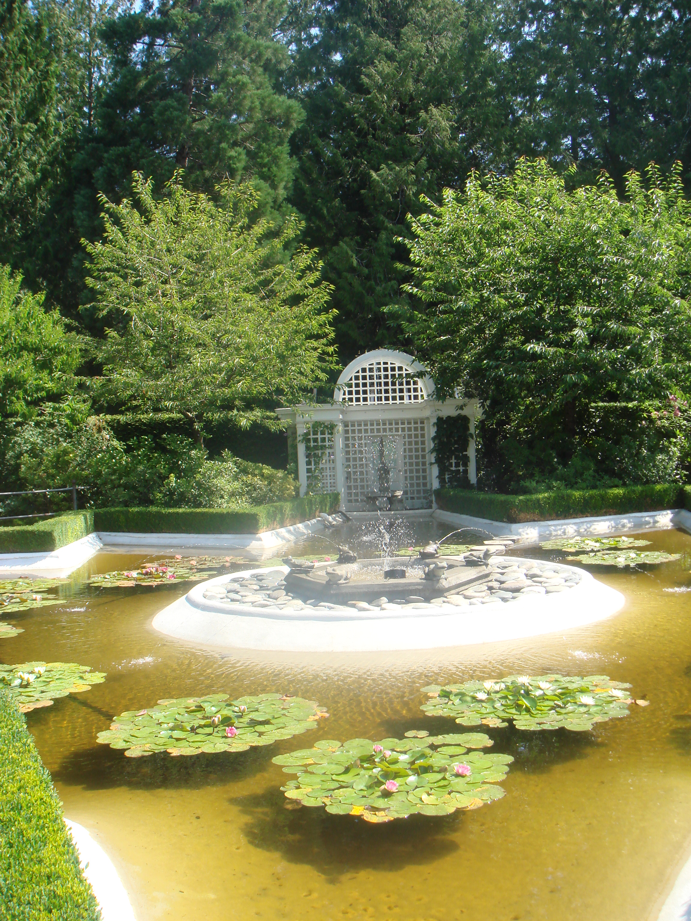 DSC03964