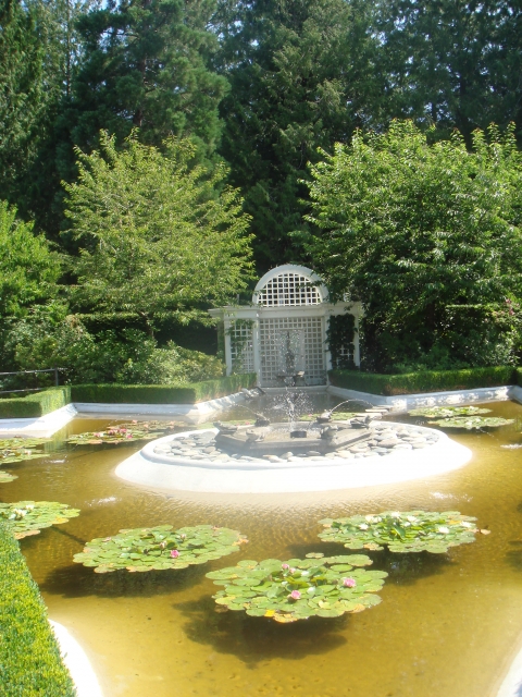 DSC03964