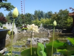 DSC04170