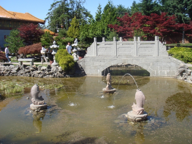 DSC04173