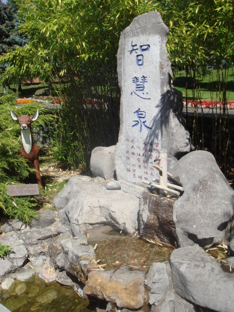DSC04174