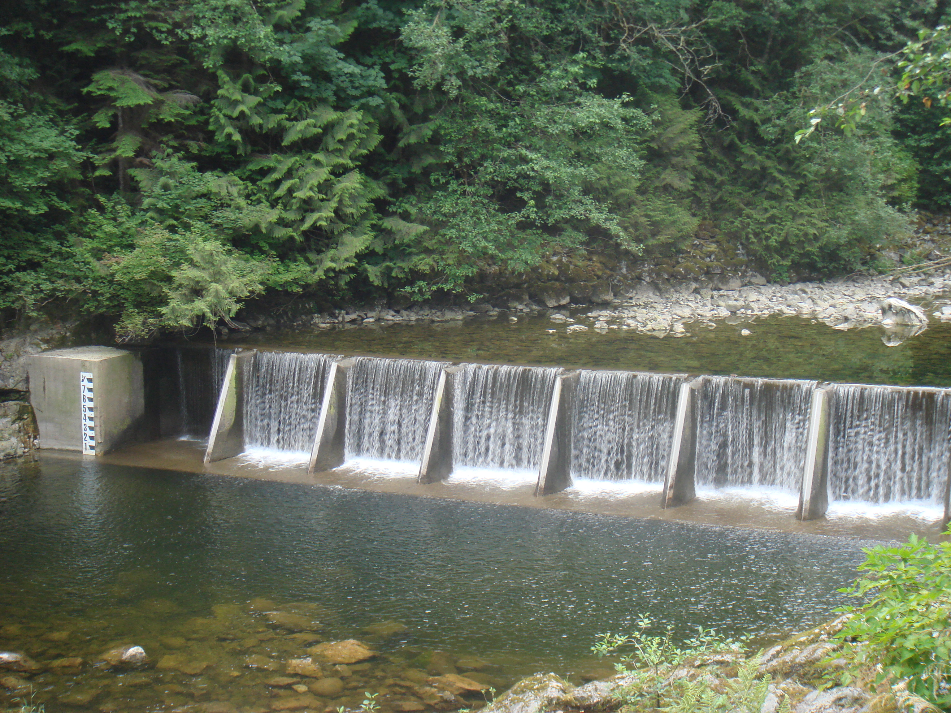 DSC04232