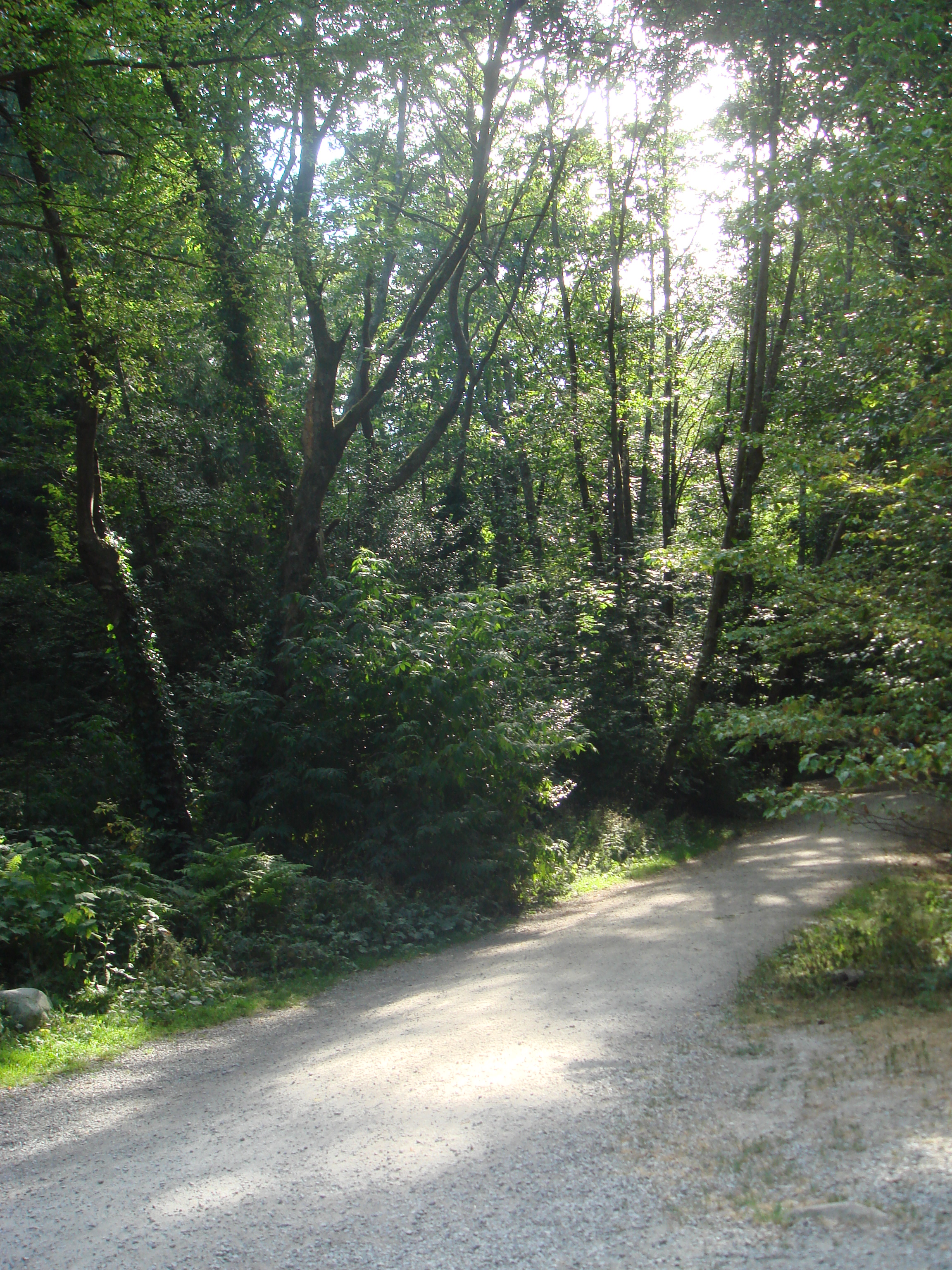 DSC04318