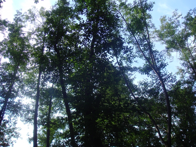 DSC04326