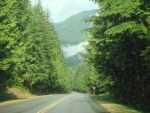 DSC04633