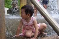 9708315 (221)