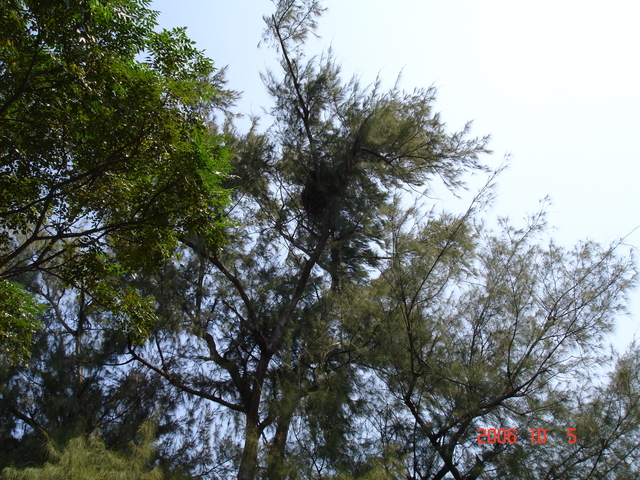 DSC02691
