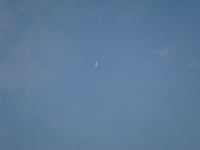 DSC05171