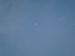DSC05171