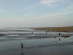 DSCN6408
