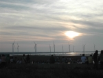 DSCN6431