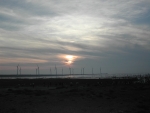 DSCN6432
