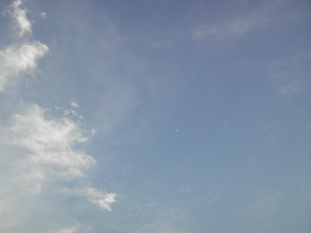 DSCN6433