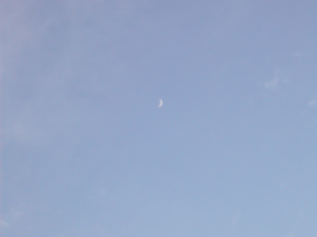 DSCN6434